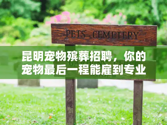 昆明宠物殡葬招聘，你的宠物最后一程能雇到专业团队吗？