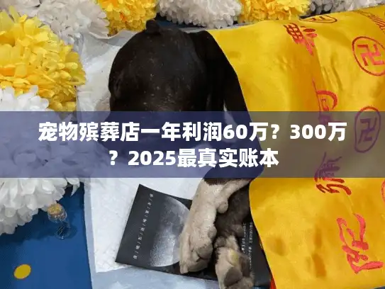 宠物殡葬店一年利润60万？300万？2025最真实账本