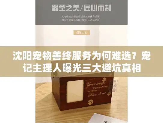 沈阳宠物善终服务为何难选？宠记主理人曝光三大避坑真相