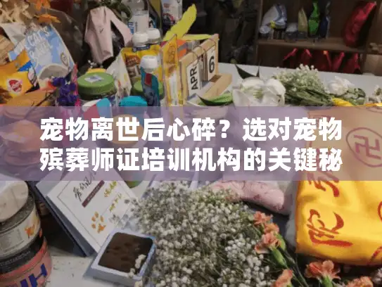 宠物离世后心碎？选对宠物殡葬师证培训机构的关键秘诀