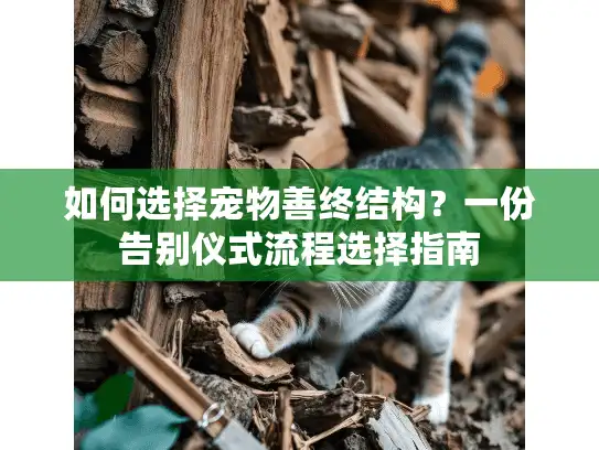 如何选择宠物善终结构？一份告别仪式流程选择指南