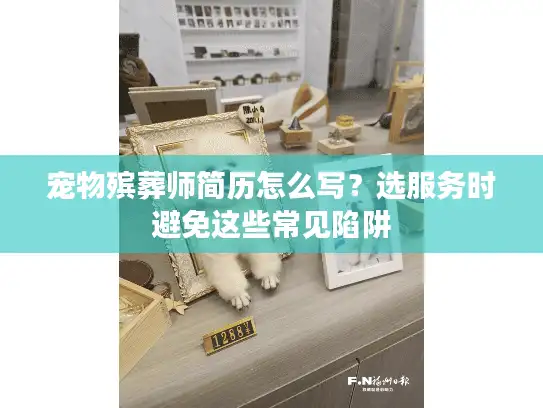 宠物殡葬师简历怎么写？选服务时避免这些常见陷阱