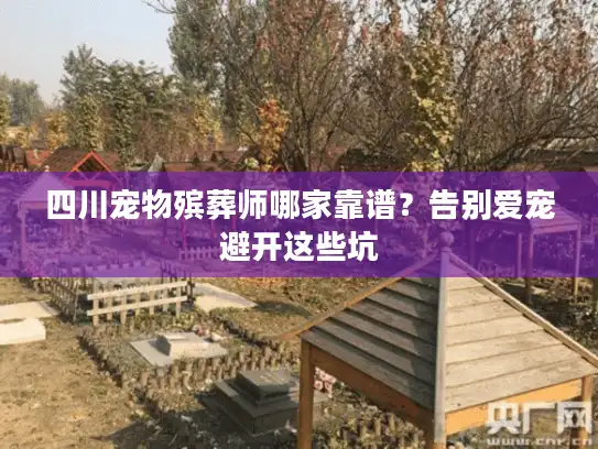四川宠物殡葬师哪家靠谱？告别爱宠避开这些坑