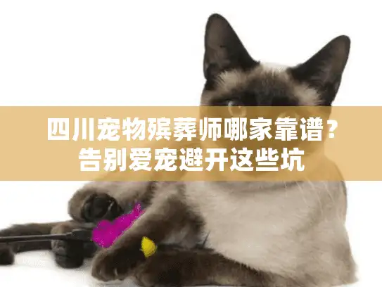 四川宠物殡葬师哪家靠谱？告别爱宠避开这些坑