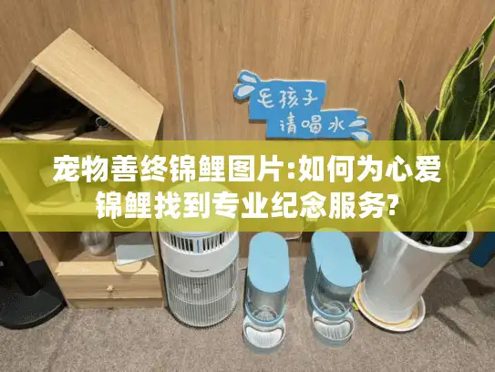 宠物善终锦鲤图片:如何为心爱锦鲤找到专业纪念服务?