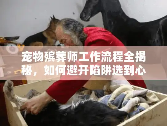 宠物殡葬师工作流程全揭秘，如何避开陷阱选到心仪服务？