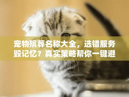 宠物殡葬名称大全，选错服务毁记忆？真实策略帮你一键避雷！