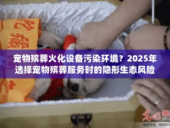 宠物殡葬火化设备污染环境？2025年选择宠物殡葬服务时的隐形生态风险揭晓