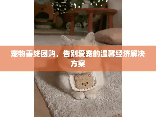 宠物善终团购，告别爱宠的温馨经济解决方案