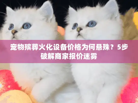宠物殡葬火化设备价格为何悬殊？5步破解商家报价迷雾