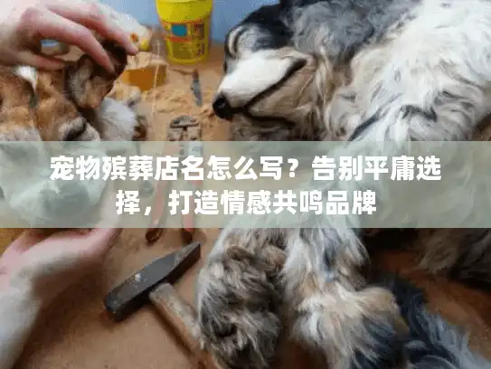 宠物殡葬店名怎么写？告别平庸选择，打造情感共鸣品牌