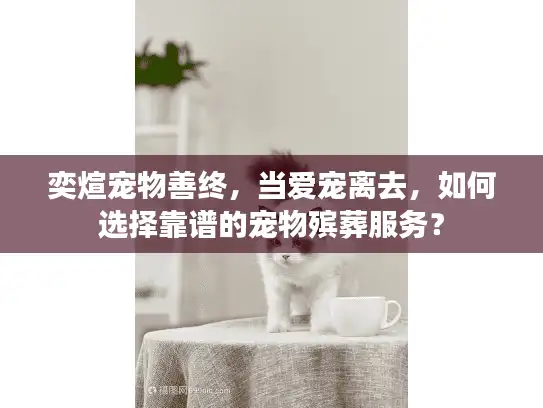 奕煊宠物善终，当爱宠离去，如何选择靠谱的宠物殡葬服务？