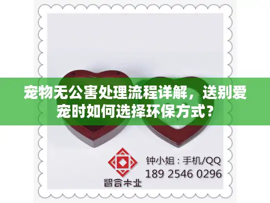 宠物无公害处理流程详解，送别爱宠时如何选择环保方式？