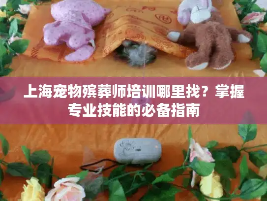 上海宠物殡葬师培训哪里找？掌握专业技能的必备指南