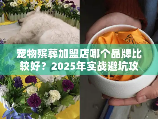 宠物殡葬加盟店哪个品牌比较好？2025年实战避坑攻略