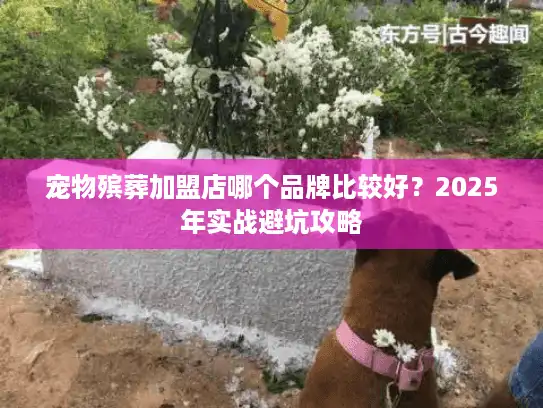 宠物殡葬加盟店哪个品牌比较好？2025年实战避坑攻略