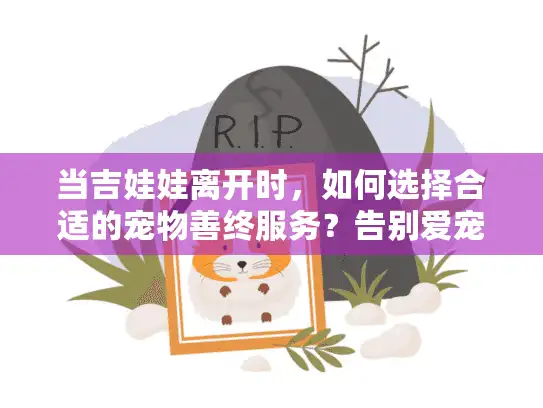 当吉娃娃离开时，如何选择合适的宠物善终服务？告别爱宠的完整指南