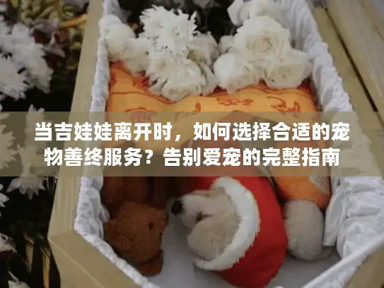 当吉娃娃离开时，如何选择合适的宠物善终服务？告别爱宠的完整指南