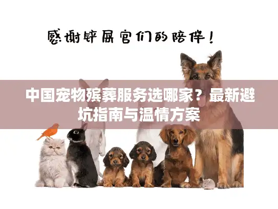中国宠物殡葬服务选哪家？最新避坑指南与温情方案