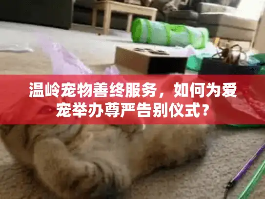 温岭宠物善终服务，如何为爱宠举办尊严告别仪式？