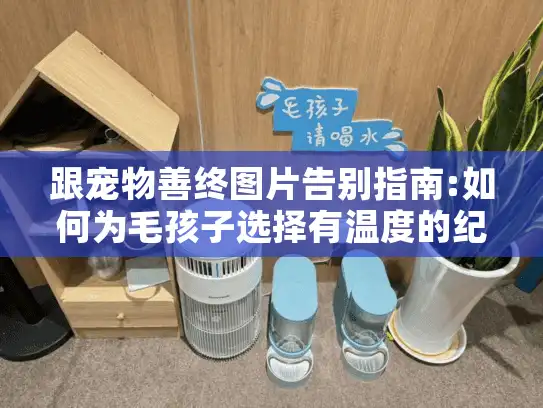 跟宠物善终图片告别指南:如何为毛孩子选择有温度的纪念服务?