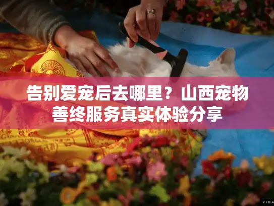 告别爱宠后去哪里？山西宠物善终服务真实体验分享