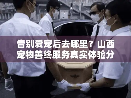 告别爱宠后去哪里？山西宠物善终服务真实体验分享
