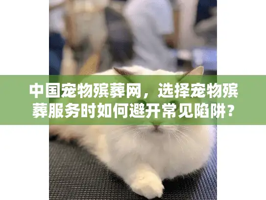中国宠物殡葬网，选择宠物殡葬服务时如何避开常见陷阱？