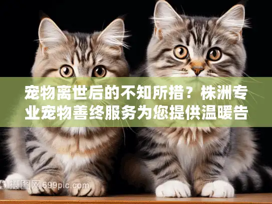 宠物离世后的不知所措？株洲专业宠物善终服务为您提供温暖告别方案
