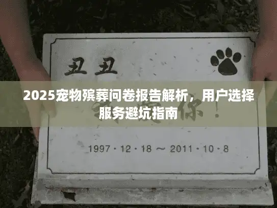 2025宠物殡葬问卷报告解析，用户选择服务避坑指南