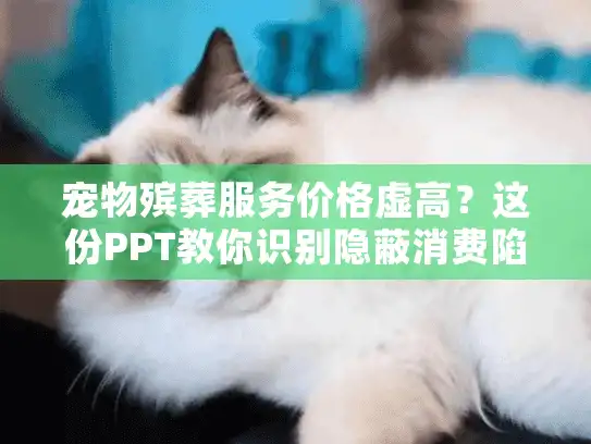 宠物殡葬服务价格虚高？这份PPT教你识别隐蔽消费陷阱！