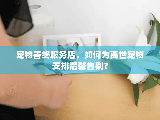宠物善终服务店，如何为离世宠物安排温馨告别？