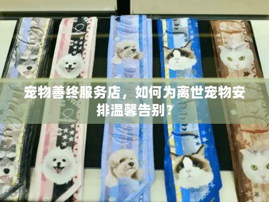 宠物善终服务店，如何为离世宠物安排温馨告别？