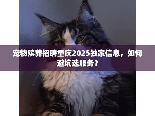宠物殡葬招聘重庆2025独家信息，如何避坑选服务？