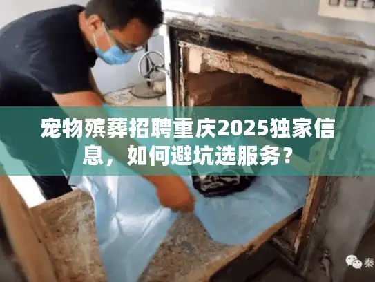 宠物殡葬招聘重庆2025独家信息，如何避坑选服务？