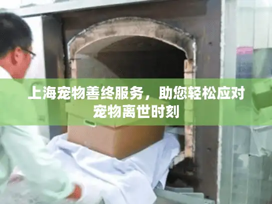 上海宠物善终服务，助您轻松应对宠物离世时刻