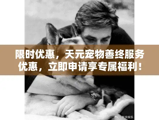 限时优惠，天元宠物善终服务优惠，立即申请享专属福利！