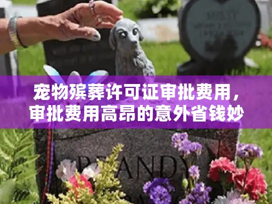 宠物殡葬许可证审批费用，审批费用高昂的意外省钱妙招