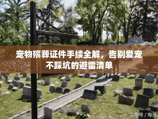 宠物殡葬证件手续全解，告别爱宠不踩坑的避雷清单
