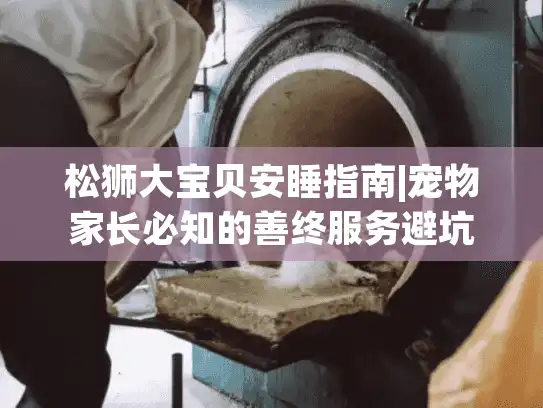 松狮大宝贝安睡指南|宠物家长必知的善终服务避坑要点