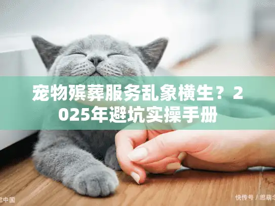 宠物殡葬服务乱象横生？2025年避坑实操手册