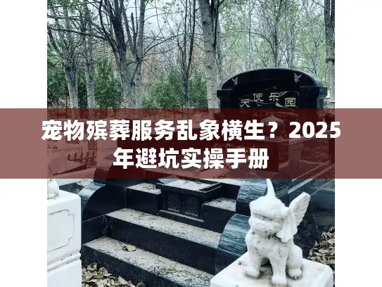 宠物殡葬服务乱象横生？2025年避坑实操手册