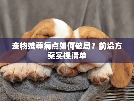 宠物殡葬痛点如何破局？前沿方案实操清单