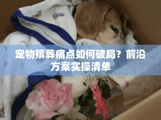 宠物殡葬痛点如何破局？前沿方案实操清单