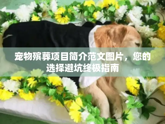 宠物殡葬项目简介范文图片，您的选择避坑终极指南