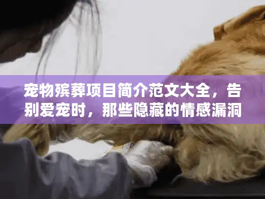 宠物殡葬项目简介范文大全，告别爱宠时，那些隐藏的情感漏洞如何填补？