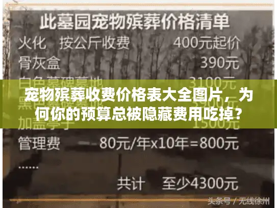 宠物殡葬收费价格表大全图片，为何你的预算总被隐藏费用吃掉？