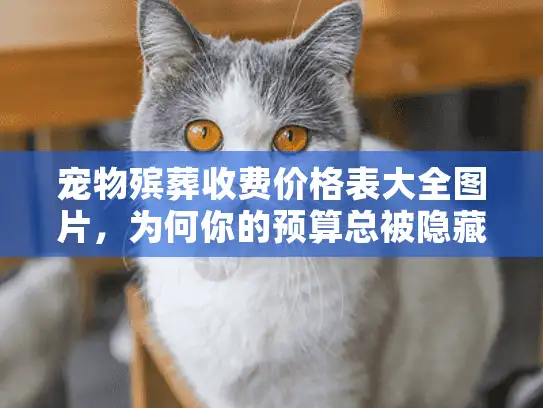 宠物殡葬收费价格表大全图片，为何你的预算总被隐藏费用吃掉？