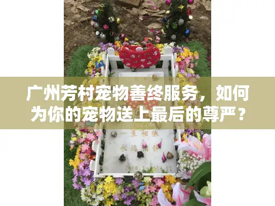 广州芳村宠物善终服务，如何为你的宠物送上最后的尊严？