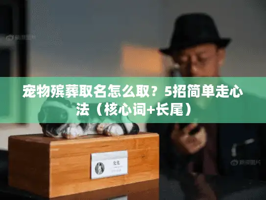 宠物殡葬取名怎么取？5招简单走心法（核心词+长尾）